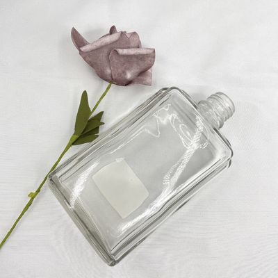 Conteneurs de verre à bouteilles de cosmétique de place des produits 250ml pour des produits de soin pour la peau